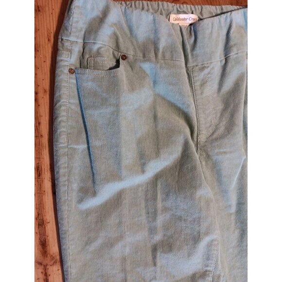 Coldwater Creek Pants Womens 8 Sage Green Corduroy Pull On Elastic Waist Pinwale - Picture 2 of 6